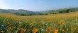 © Starkreal - Tranquil Rolling Hills adorned with Colorful Wildflowers under a Clear Blue Sky