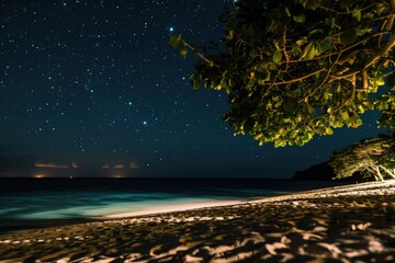 Wall Mural - a night time view of a beach with stars in the sky