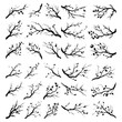 © MdAshraful - Tree Branch Silhouettes Pack, set of vector black tree branches on white background