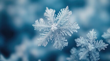Wall Mural - closeup of intricate ice crystals forming delicate patterns frosty white texture on muted blue backg