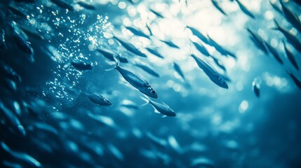 Aufkleber - A close-up of a school of small fish swimming together, with their scales shimmering in the light, capturing the beauty of underwater life.