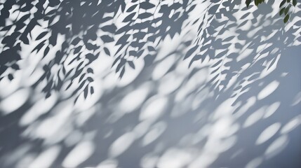 Poster - A beautiful display of leaf shadows cast against a white background, creating an intricate and naturally inspired pattern that plays with light and shadow.
