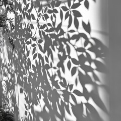 Aufkleber - An artistic black and white image showcasing the shadows of leaves against a pristine wall, highlighting the contrast between light and dark in a minimalist style.