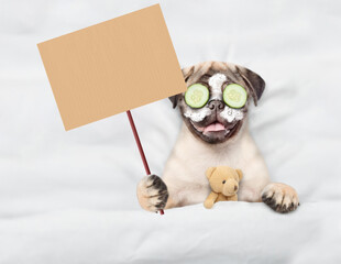 Fototapete - Funny Pug puppy with pieces of cucumber on it eyes relaxing on the bed at home with favorite toy bear and showing blank placard. Top down view. Empty space for text