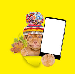 Poster - Smiling puppy wearing warm hat holds dry leaves and big smartphone with white blank screen in it paw through the hole in yellow paper