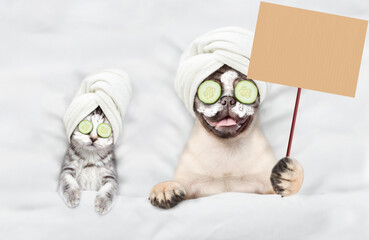 Fototapete - Cute kitten and pug puppy with towel on their heads, with cream on their faces and with a pieces of cucumber on their eyes relaxing on the bed at spa salon and showing blank placard. Top down view