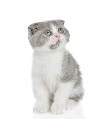 Poster - Spotty tiny kitten sits and looks away and up. isolated on white background