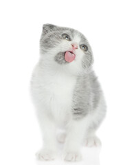 Poster - Funny spotty kitten sticking out tongue licking invisible glass pane making funny face. Isolated on white background