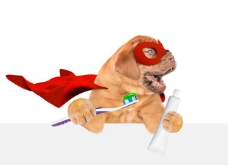 Poster - Happy Mastiff puppy with big funny teeth wearing superhero costume holds toothbrush in it paw above empty white banner. isolated on white background