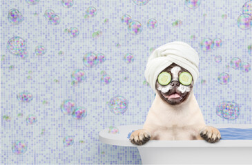 Poster - Funny Pug puppy wrapped with towel, with pieces of cucumber and with cream on it face takes the bath at home. Empty space for text