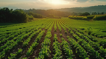 Leinwandbilder - Aerial views of eco-friendly farming techniques and their impact on the landscape. Generative AI.