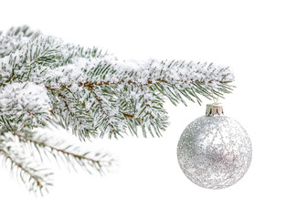 Christmas tree branch with silver ornament hanging.