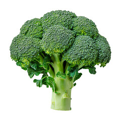 Wall Mural - broccoli png. broccoli vegetable top view png. green broccoli flat lay isolated