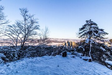 Sticker - Winter view of Hruba Skala rocks in Cesky raj (Czech Paradise) region, Czech Republic