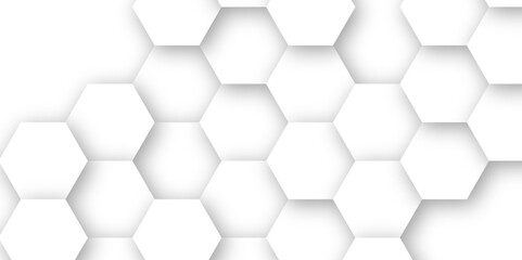 3d white hexagon empty background fresh blocks vector background 