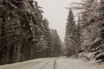 Wall Mural - Winter view of I/11 road near Suchy vrch mountain, Czech Republic