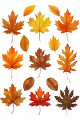 Poster - A collection of vibrant leaves in various colors on a clean white surface