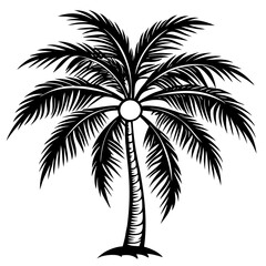 Poster - coconut tree vector illustration