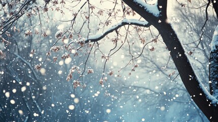 Poster - Abstract background of winter trees adorned with falling snow