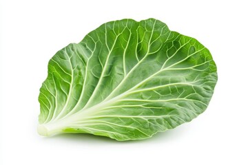 Wall Mural - A fresh green cabbage leaf showcasing its vibrant color and intricate vein patterns.