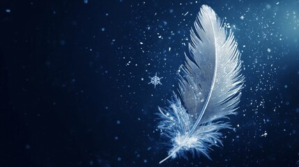 Poster - Feather in Snowy Night Background