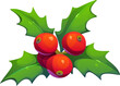 © Vector Tradition - Cartoon Christmas holly berries and green leaves create a festive and cheerful holiday atmosphere. Vector seasonal decoration for invitations, and greeting cards, embodying the spirit of the season