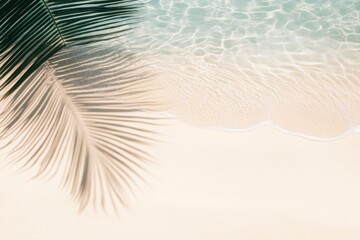 empty abstract sand beach with palm leaf shadow and transparent water wave from above, blank background banner for travel, vacation and wellbeing with copy space ,  ai