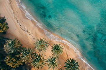 Stunning aerial view of a serene beach with clear blue water. Lush green palm trees line the golden shoreline. Ideal for travel and relaxation themes. Generative AI