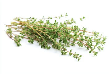 Wall Mural - Fresh thyme sprigs arranged on a white background, showcasing their vibrant green leaves.