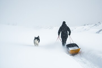 Canvas Print - A person walks towards the horizon pulling a sled while accompanied by a dog during a snowy winter day in a remote landscape