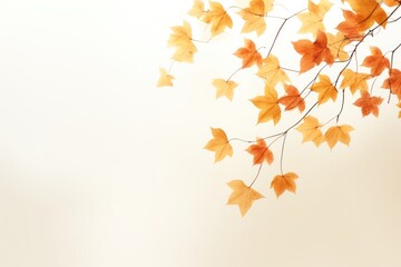 Canvas Print - Backgrounds falling autumn plant.