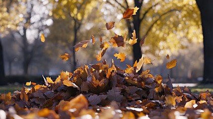 Wall Mural - Autumn Leaves Falling in Sunlit Park - Seasonal Natural Beauty