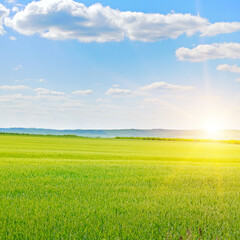 Wall Mural - Green wheat field and sunrise.