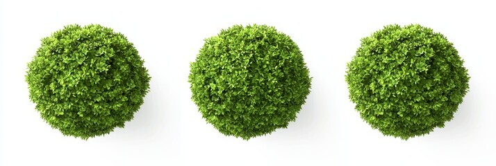Poster - Cuttings from tropical plants used to create green garden wall panels