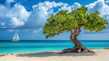 serene beachscape with a majestic tree and a distant sailboat