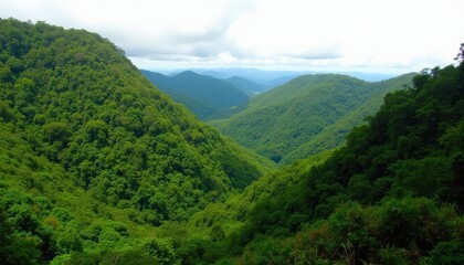 Poster - Vast verdant mountain valley under a cloudy sky