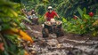 © robfolio - Group Riding ATVs Through Muddy Jungle Trail