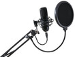© gangster9686 - Professional studio microphone for voice recording with pop filter isolated on a transparent background.