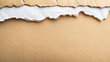 © Hanna - Torn carboard paper edge copy space close up