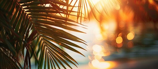 Wall Mural - Blurred vibrant green palm leaves on a tropical sunset beach with a bokeh light wave background Copy space for summer vacation and business travel ideas Vintage tone filter style