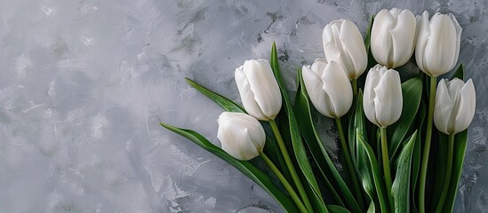 Sticker - White tulips on a gray backdrop Close up with space for text. Copy space image. Place for adding text and design