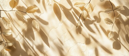 Wall Mural - Abstract shadows of natural leaves on a beige wall texture Copy space Floral card