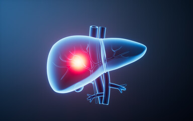 Liver organ with health care concept, 3d rendering.