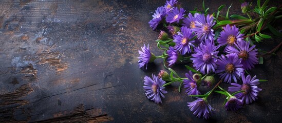 Poster - Asters arrangement on aged wooden surface. Copy space image. Place for adding text and design