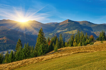 Wall Mural - Beautiful autumn in the mountain forest.