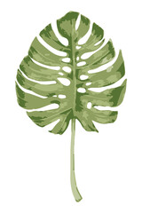 Canvas Print - Vectorize monstera leaf sticker with white border