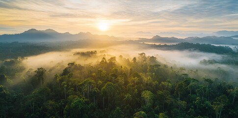 Wall Mural - This is a stocke rendered by AI with a beautiful green Amazon forest landscape at sunset sunrise. We are exploring the jungle using an air dron view. Graphic Art.