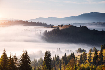 Poster - Summer scene and splendid foggy mountain landscape at dawn.