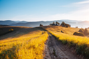 Wall Mural - Splendid landscape of a rolling countryside on a sunny day. Carpathian mountains, Ukraine, Europe.