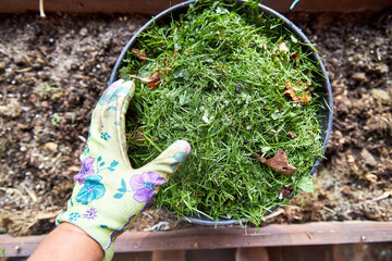 natural ingredients on the ground to make compost